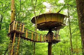 Pin On Maison Suspendue Ou Sur Un Arbre