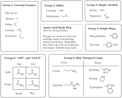 Study Guide For Amino Acids Mcat