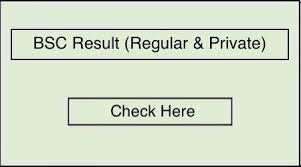 Bsc Result 2019 Bsc Result Result Exam Results