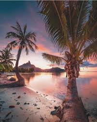 Over 3,884 bora bora pictures to choose from, with no signup needed. 29 5k Likes 211 Comments Beaches N Resorts Beaches N Resorts On Instagram Bora Bora Credits M Beach Sunset Photography Sunset Pictures Scenery