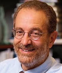 2022 Cornerstone by tamu-dor