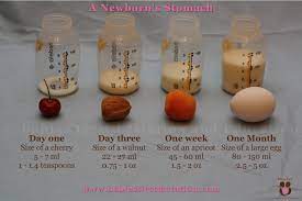How Much Milk Can A Newborn S Stomach Hold Calming Colic