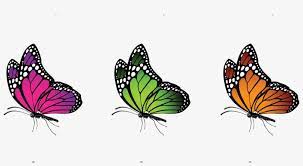 Yang pastinya ini pilihan gambar yang terbaik! Description Kupu Kupu Berwarna Warni Transparent Png 1270x635 Free Download On Nicepng