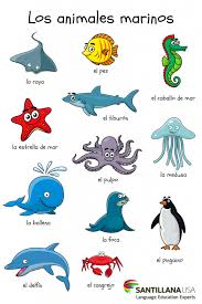 Ver más ideas sobre caritas de emociones, emociones, caras emoción. Los Animales Marinos Tarjetas De Vocabulario En Espanol Vocabulario Espanol Espanol Preescolar