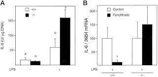 A paris 6, vous aurez aussi l'occasion de découvrir de magnifiques jardins. Peroxisome Proliferator Activated Receptor A Negatively Regulates The Vascular Inflammatory Gene Response By Negative Cross Talk With Transcription Factors Nf Kb And Ap 1 Journal Of Biological Chemistry