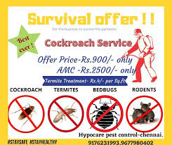 Gingerbay pest control company in bangalore, chennai and ernakulam caters to various sectors which includes it companies, hospitals, hotels, restaurant chains, residential villas, residential apartment complexes, warehouses, restaurant chains, food courts, service apartments, container. Hypocare Pest Control Posts Facebook