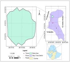 Image result for Achyrospermum schimperi