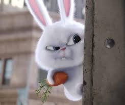 Carton Plein Pour Le Film D Animation Comme Des Betes Influence Le Site Gambar Kelinci Hewan Kartun