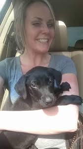 Whippet or lab mix rescue dog story