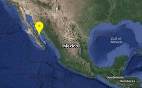 El temblor de esta mañana tuvo epicentro en el estado de oaxaca y se registró con una magnitud de 7.5. Bcs Sismo De Hoy 20 De Enero 2020