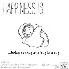 Happiness Is Being As Snug As A Bug In A Rug Happy Quotes Funny Quotes Happy