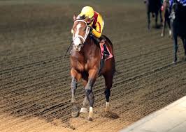 Stars of Tomorrow II Card Concludes with 'Rising Star' Performance from Cannoneer