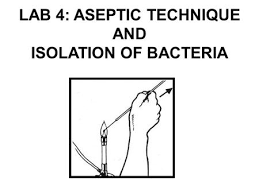 This technique is important for plating isolated colonies to purify a culture and avoid. Aseptic Technique Media And Equipment Growth Medium A Growth Medium Or Culture Medium Is A Liquid Or Gel Designed To Support The Growth Of Microorganisms Ppt Download