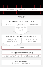 Nach dem transaktionalen stressmodell des amerikanischen psychologen richard lazarus aus den 1970er jahren entsteht. Stressbewaltigung Umgang Mit Stress Und Stressoren