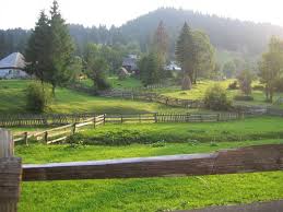 Turismul rural a cunoscut o dezvoltare fără precedent în românia ultimului deceniu. Turism Rural È™i Ecologic Coltisor De Romania