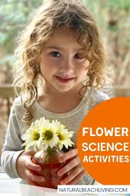 Check spelling or type a new query. Flower Science Activities For Preschool And Kindergarten Natural Beach Living