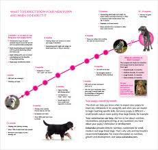 Lab Puppies Growth Chart Exploredogs Com