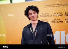 Image result for Berlinia giorgio