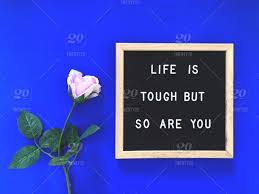 348 75 rose love floral petal. Life Is Tough But So Are You Blue Rose Roses Beautiful Roses Positive Quotes Positive Message Message Board Letter Board Blackboard Quote Quotes Motivation Motivational Motivation Quote Motivational Words Words Of Motivation