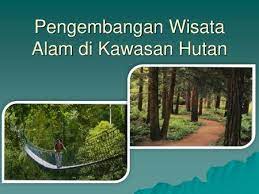 4) pemanfaaatan kuliner cimplung dan legen sebagai makanan khas desa wisata candirenggo. Pengembangan Wisata Alam Di Kawasan Hutan Ppt Download