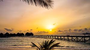 Beautiful free photos of nature for your desktop. Wallpaper Beautiful Tropical Nature Palm Trees Bridge Resort Huts Sea Sunset Maldives 3840x2160 Uhd 4k Picture Image