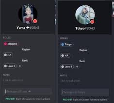 Give your server a fresh coat! How To Sort Your Roles On A Discord Server With Invisible Characters Discordapp