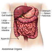 When cancer cells begin to form in the duodenum, tumors can block food from passing through the digestive tract. Duodenitis What You Need To Know