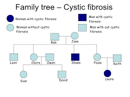 Family Tree To Print Cystic Fibrosis