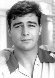 TV Q&A with David Inman