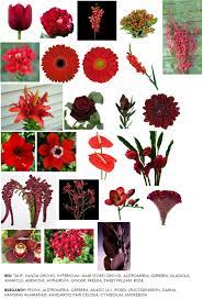 We did not find results for: Fifth In Our Series On Color Red Modern Petals Blog Red Flowers Red Wedding Flowers Neutral Wedding Flowers