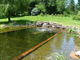 Wie Viel Darf Ein Schwimmteich Kosten Diy Pooldesign Zenideen In 2020 Schwimmteich Naturschwimmbecken Wasserbecken Garten