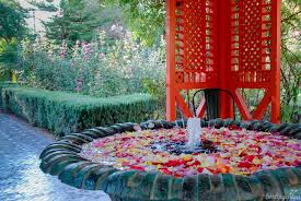 .die architektur #marrakech #garten #majorelle more from my sitemarrakesch: Gartenreise Marrakesch Von A Wie Anima Bis S Wie Safran Berlingarten