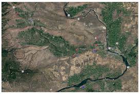 We have provided service to portland and the surrounding counties since 1993 and have the experience you need to get the job done. Insects Free Full Text Identity And Seasonal Abundance Of Beneficial Arthropods Associated With Big Sagebrush Artemisia Tridentata In Central Washington State Usa Html