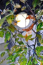 Bildergebnis für Kelly Heaton