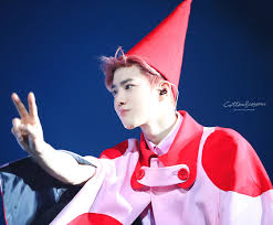 Lawlliets Exo Suho Suho Exo
