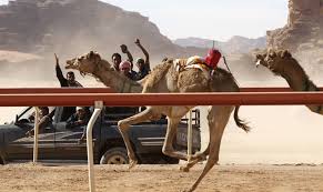 Children as young as 10 are working as camel jockeys in the united arab emirates despite a law banning underage riders, new photos reveal. Robots Replace Child Jockeys In The Ancient Arab Tradition Of Camel Racing