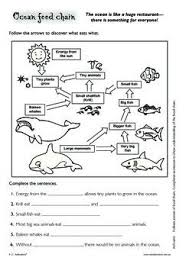 Water Science Printable Aboriginal Dreamtime Printable Ocean Food Chain Ecosistema Acuatico Biologia Y Actividades