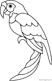 Check spelling or type a new query. Parrot Coloring Pages Coloringall