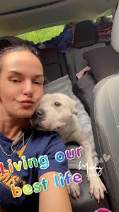 Missing Dog Honey in Hackettstown Area