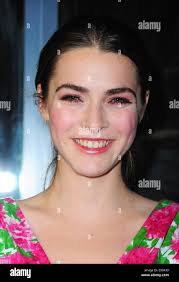 Love heart bee hi-res stock photography and images