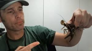 2021 Watersheds & Wetlands PD Report