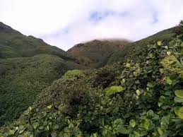 Volcan actif de type péléen, de formation. File La Soufriere Parc National De La Guadeloupe 02 Jpg Wikipedia