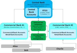 a simple explanation of how money moves around the banking