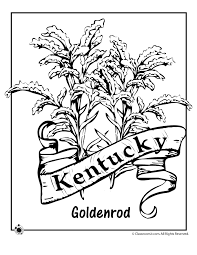 Flower is an unincorporated community in braxton county, west virginia, united states. Kentucky State Flower Coloring Page Woo Jr Kids Activities
