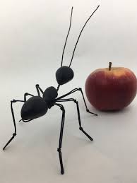 Spectacular Black Ant Seeds And Metal Wire Sculpture Handmade Fourmi Noire Fourmis Et Sculpture