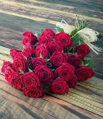 We did not find results for: 35 Ideas For Rose Beautiful Hd Dpz Alice T Jones