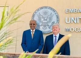 Will She Be The First Ethio-Somali Region President?