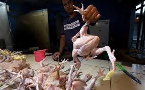 Blitar pare kediri malang surabaya pasuruan Harga Telur Ayam Hari Ini Senin 21 Juni 2021 Hari Ini Pemprov Dki Gelar Pangan Murah Di Tujuh Pasar Berikut Adalah Info Harga Ayam Broiler Hari Ini Yang Akan