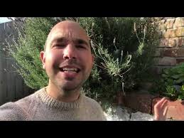 Department of Conservation