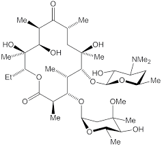 Image result for Erythromycin
